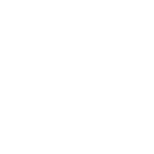 13_trans_zaneti_1_1x